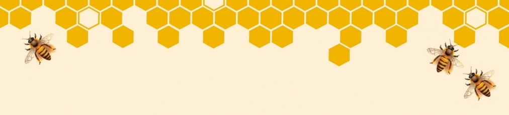 gallery/obererrandgespiegelt